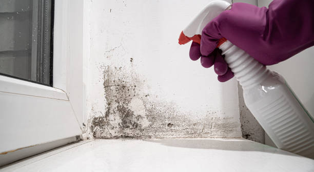 Summerdale, AL Water damage restoration Company